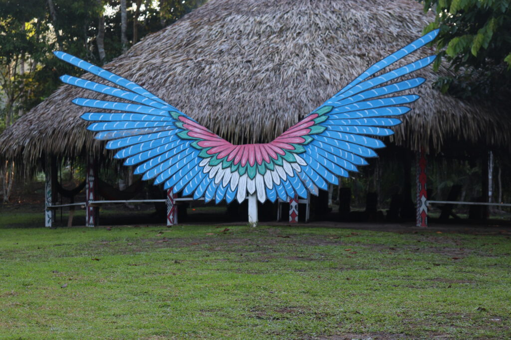 Shanenawa